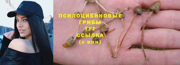 mix Абаза