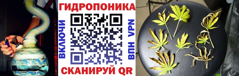 купить  сайты  Тетюши  Шишки марихуана SATIVA & INDICA 